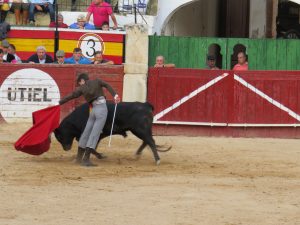 BORJA NAVARRO